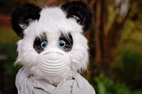 Oppa88888888 Casino Suporte